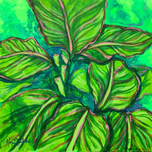 Calathea Art Print